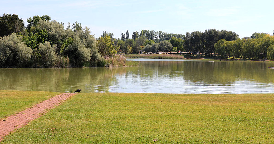 Laguna de Duero