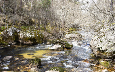 Duruelo de la Sierra - Vilviestre de los Nabos